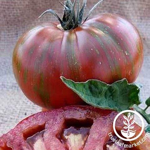 Vintage Wine Tomato Seeds - Non-GMO