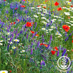 Partial Shade Wildflower Mix Seeds