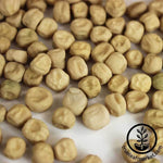 Pea - Lincoln - Microgreens Seeds Close Up