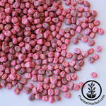 Pea Seeds - Wando (Treated) Close Up Seeds