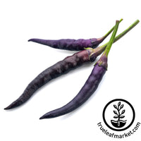 hot cayenne purple pepper