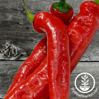 Pepper Seeds - Sweet - Cheese Red