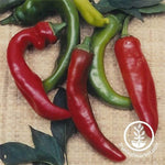 Hot Pepper - Anaheim Chili