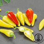 Pepper Seeds - Hot - Dancing Spirits F1