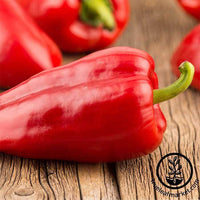 Korean Hong-Gochu Pepper – Truelove Seeds