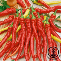 Pepper Seeds - Hot - Hot Portugal