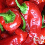 Organic Jimmy Nardello Pepper Seeds