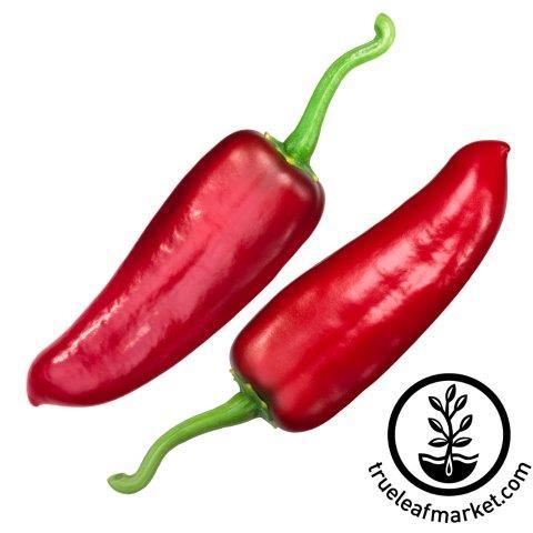 Nu Mex Joe E Parker Hot Pepper