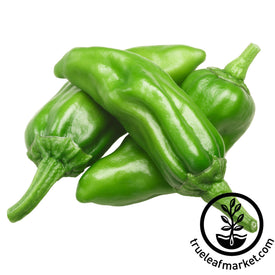 sweet italian pepperoncini pepper