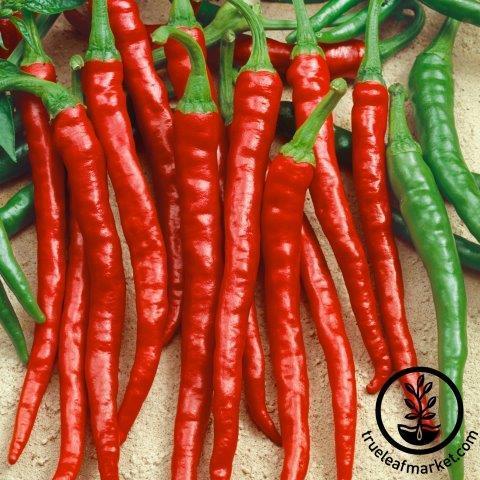 Pepper Seeds - Sweet - Sweet Cayenne