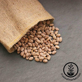 Pinto Beans - Bulk Grains & Foods