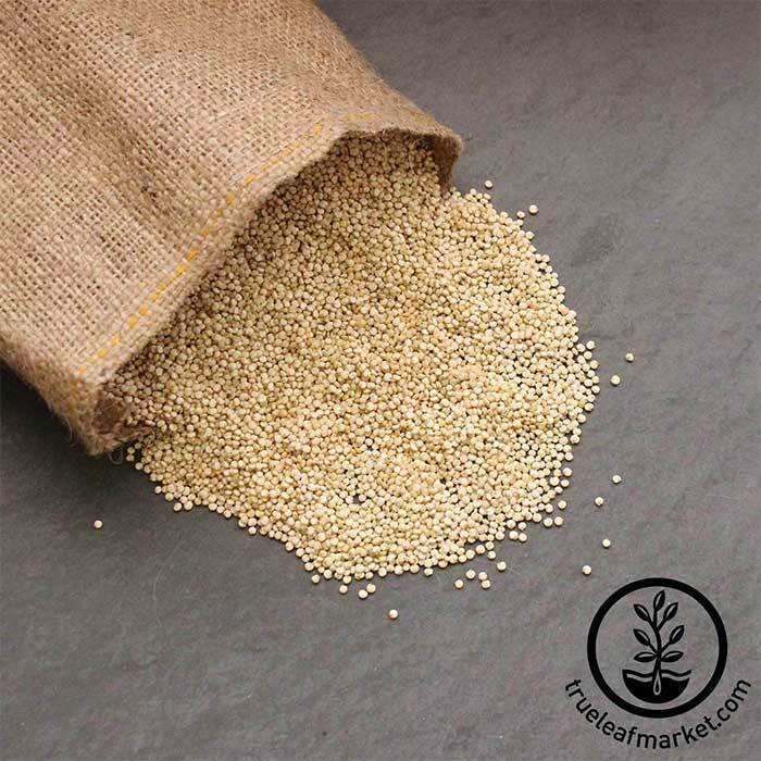 Quinoa (Organic) - Bulk Grains & Foods