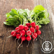 Need help finding the best radish seeds for your needs? Take this short quiz and we will help you choose the best radish seeds. Be sure to hover over the <tool tip image> for important notes on each option.