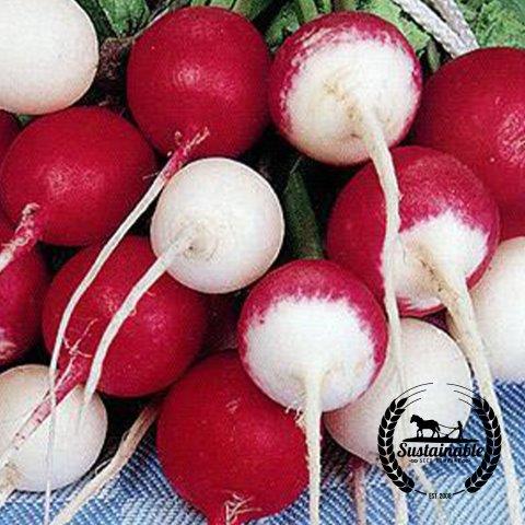 Organic Confetti Radish Mix Seeds