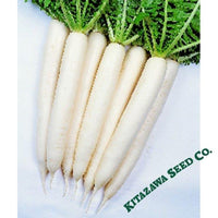 Radish Seeds - Minowase Summer Cross #3 - Hybrid