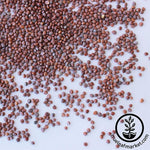 Radish Seeds - Sparkler Close Up