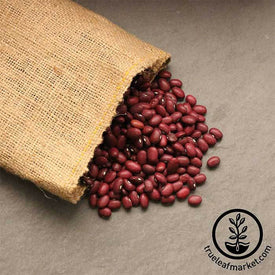 Red Small Chili Beans (Organic) - Bulk Grains & Foods