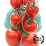 Tomato Roma Organic Seed