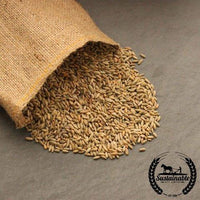 Winter Rye - Organic - Cover Crop Seeds Bulk