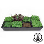 Micro-Mats Hydroponic Grow Pads 5"x 5" squares fit in small trays for more growing variety
