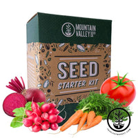 Seed Starter Kit - Salad