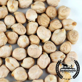 Garbanzo Bean Seeds - Organic