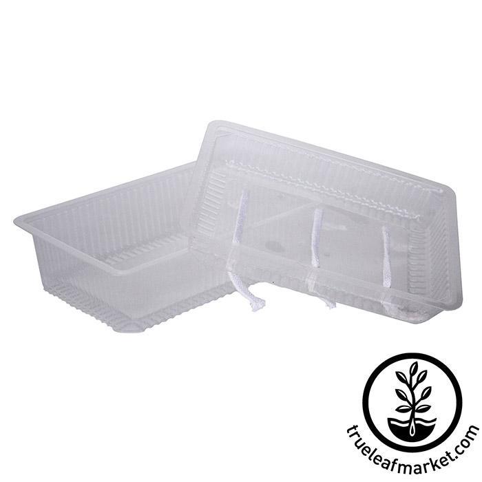 Self-Watering Growing Trays 1