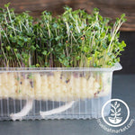 Self-Watering Growing Trays side view microgreens