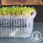 Self-Watering Growing Trays with microgreens