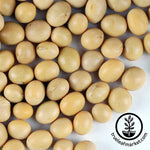 Non-GMO Organic Yellow Soybean