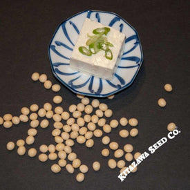 Soybean - Shinonome