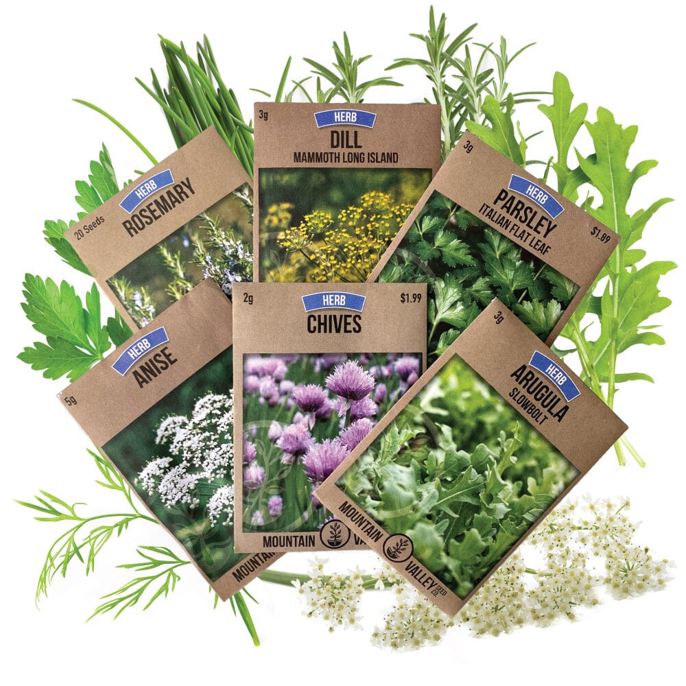 spring herb 6 pack