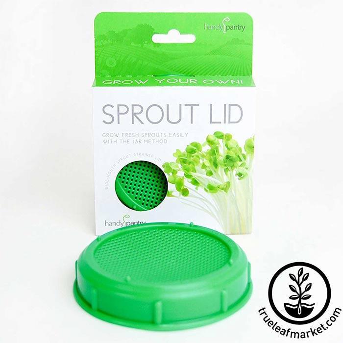 https://cdn.shopify.com/s/files/1/2016/2681/products/sprout-lid-front-with-lid-wm_700.jpg?v=1602027311