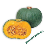 Squash Seeds - Japanese, Winter - Blue Kuri