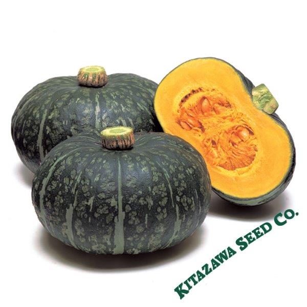 Squash Seeds - Winter - Delica - Hybrid