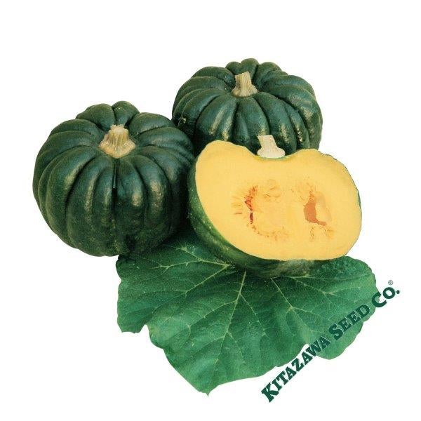 Squash Seeds - Japanese, Winter - Kogiku