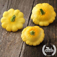 Organic Scallop Yellow Bush Squash Seeds