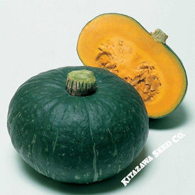 Squash Seeds - Japanese, Winter - Sweet Mama - Hybrid