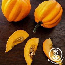 Table Gold Squash Seeds - Non-GMO