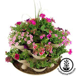 Stack and Grows make excellent flower gardens!