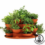 Stack and Grows make excellent herb gardens!