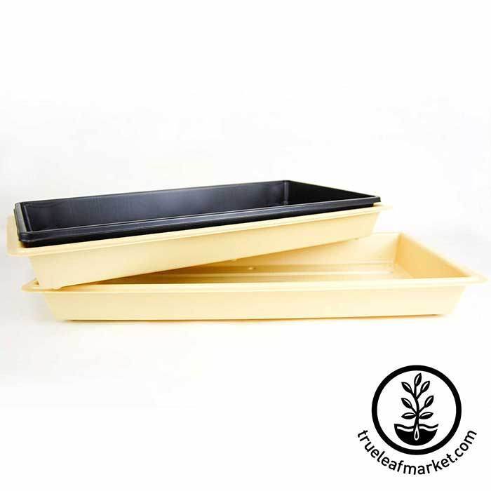 Single Serving Microgreens Punnet Tray with Drain Holes