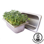 stainless steel aquaponic Microgreens Kit