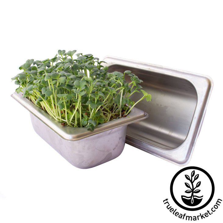 stainless steel aquaponic Microgreens Kit