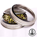 Stainless Steel Wide Mouth Sprouting Jar Lid with sprouts