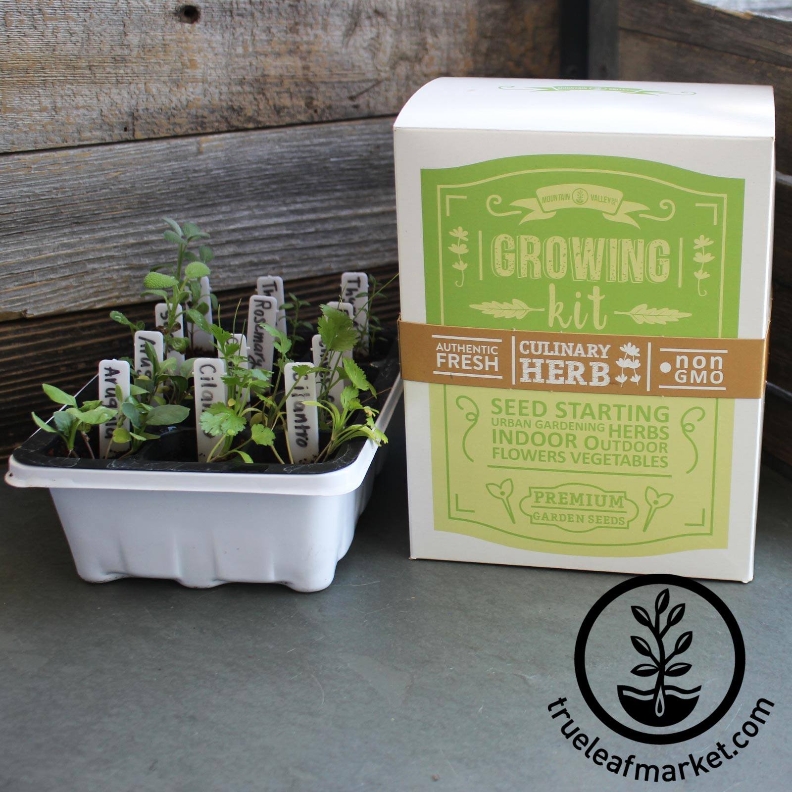 Stack and Grow Planter Plus Culinary Herb Kit