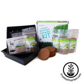 The Organic Wheatgrass Growing Kit parts