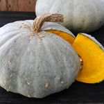 Sweet Meat Squash