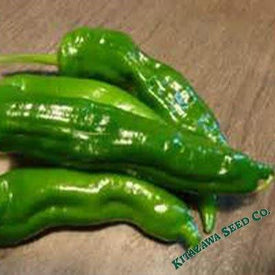 Pepper Seeds - Sweet - Manganji