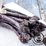 sweet purple asparagus